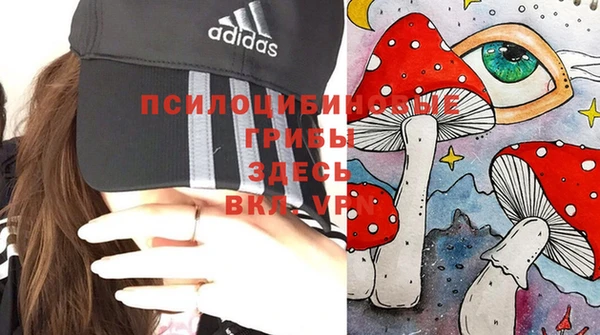 молекула духа Няндома