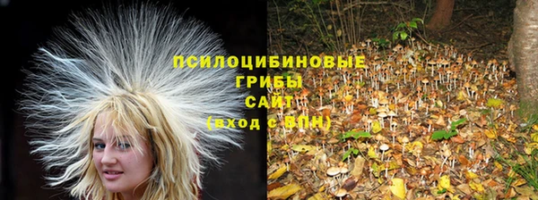 Альфа ПВП Остров