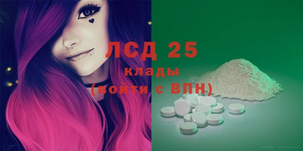 молекула духа Няндома