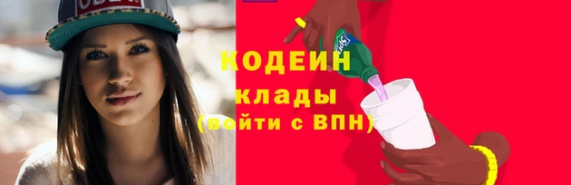 молекула духа Няндома