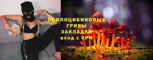 мдпв Нязепетровск