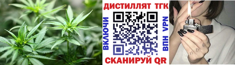 как найти наркотики  Порхов  Дистиллят ТГК THC oil 