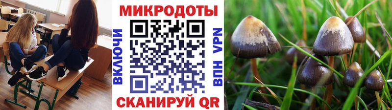 KRAKEN зеркало Порхов Псилоцибиновые грибы ЛСД